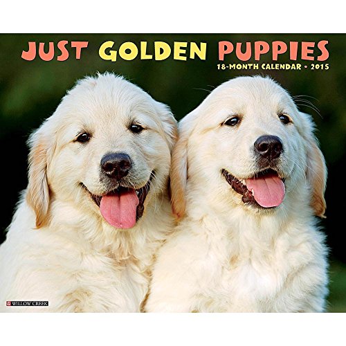Golden Puppies 2015 Wall Calendar