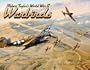 World War II Warbirds