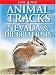 Animal Tracks of Nevada and the Great Basin (Animal Tracks Guides)