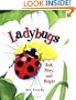 Ladybugs: Red, Fiery, and Bright