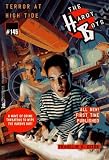  : Terror at High Tide (The Hardy Boys #145)