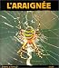 L'Araignée : Petite Fée de la soie at Amazon: 51NHPZ0MF4L._SL75_