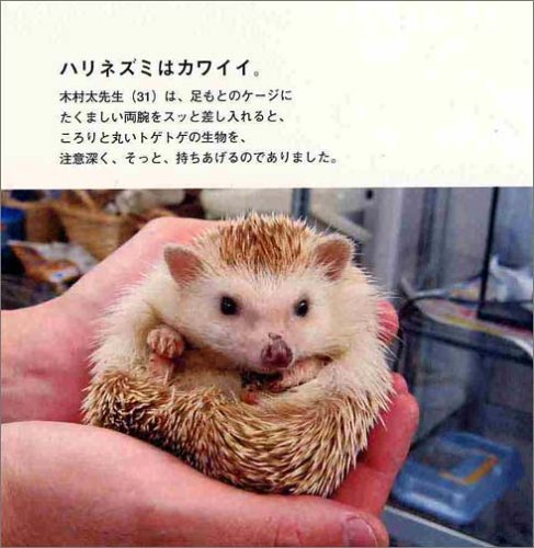 カワイイもの好きな人々。(ただし、おじさんの部)