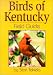 THE UNITED STATES OF AMERICA: ALL ABOUT KENTUCKY