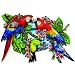 Parrots in Paradise Shaped Jigsaw Puzzle by Lori Schory 1000pc