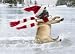 Avanti Christmas Cards, Skating Pug, 10 Count
