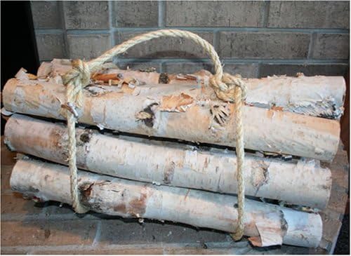 Roped Bundle of Birch Logs