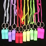Kitchen - 12 - BRIGHTLY COLOURED NEON WHISTLES