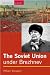 The Soviet Union Under Brezhnev, 1964-82 (Seminar Studies In History)