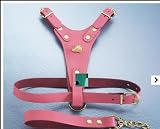 Bull Terrier Harness (brown)