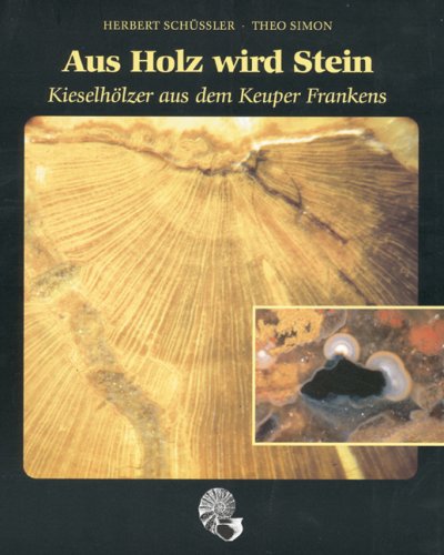 Amelingmeier