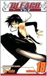 Bleach, Vol. 18