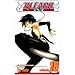 Bleach, Vol. 18