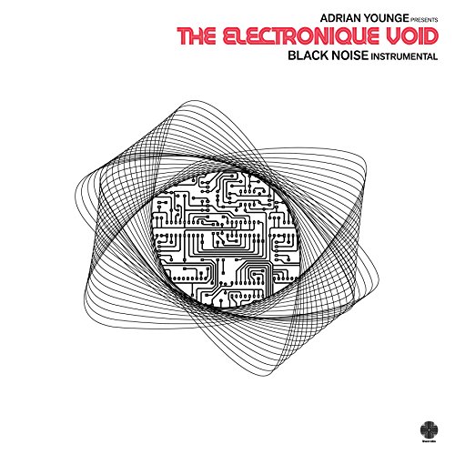 Album Art for Electronique Void: Black Noise Instrumentals by Adrian Younge