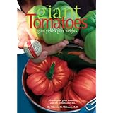 giant tomatoes