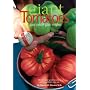 Giant Tomatoes