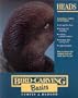 Heads (Bird Carving Basics Series, Vol. 3)