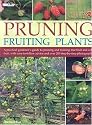Pruning Fruiting Plants: A Practical Gardener's Guide to Pruning and Training Tree Fruit and Soft Fruit, with Over 350 Photographs and Illustrations and Easy-to-follow Advice