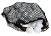 Titleist Mixed Recycled B-Grade Balls (60-Ball Pack)
