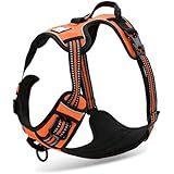 Best Front Range No-Pull Dog Harness. 3M Reflective Outdoor Adventure Pet Vest with Handle. 3 Stylish Colors and 5 Sizes.