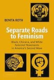 Separate Roads to Feminism: Black, Chicana, and White Feminist Movements in America's Second Wave
