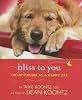 Bliss to you by  Dean R Koontz 