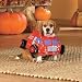 Companion Road Pet Fashions Red Fire Engine Costume - Medium