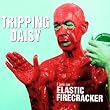 Tripping Daisy