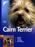 Cairn Terrier. Auswahl, Haltung, Erziehung, Besch�ftigung