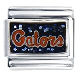 Pugster Florida Gators Licensed Italian Charms