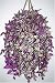 45 Wandering Jew Artificial Hanging Plant