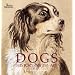 Dogs: History . Myth . Art: History, Myth, Art (Gift Books)