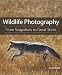 Wildlife Photography: From Snapshots to Great Shots