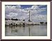 Cherry Blossoms, Cloud, and the Washington Monument Photograph - Beautiful approx. 24"x28" Framed & Matted Photographic Print by Carol M. Highsmith
