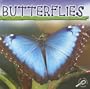 Butterflies (Insects Discovery Library)
