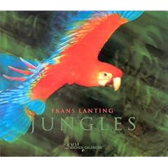 Calendrier mural 2001 Jungles
