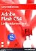 Adobe Flash CS4: Les fondamentaux (Hervé Girolet)