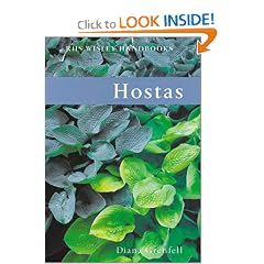 Hostas