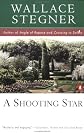 A Shooting Star