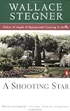 A Shooting Star