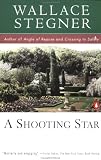 A Shooting Star