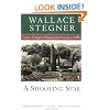 A Shooting Star