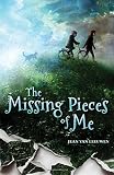 The Missing Pieces of Me