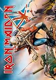 Iron Maiden - Trooper - Posterflagge 100% Polyester - Grösse 75x110 cm