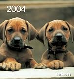 Hunde 2004 Postkartenkalender: Postcard Calendar