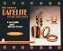 The Best of Bakelite and Other Plastic Jewelry (Schiffer Book for Collectors)