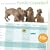 William Wegman Family 2009 Calendar