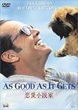 恋愛小説家 [DVD]