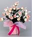 ���̊y�� ���G�}���L�O���[�� <�t�����[�V���[�Y> ���H�t�~�j���[�YP