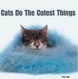 Cats Do the Cutest Things